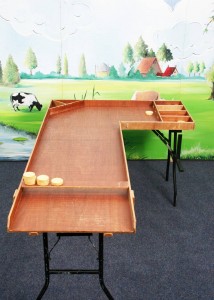 haakse sjoelbak reuze spellen spelverhuur