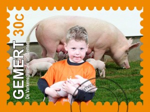 Crazy-fototrucage fotogallerij voorbeeld foto